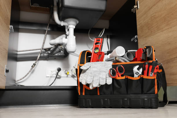 Best Same-Day Plumbing Service  in Lawai, HI